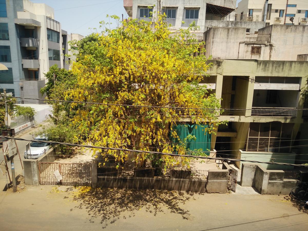 Hotel Grg Vadodara Bagian luar foto
